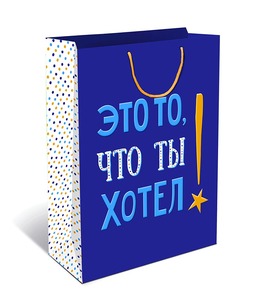 Сумка подарочная (1/12), арт.0292.179
