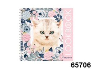 Альбом для творчества My Little Kitten (альбом, наклейки), арт.65706